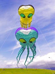 26th Annual Berkeley Kite Festival