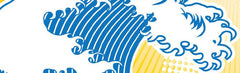 Catching the Wave: Connecting East Asia through Soft Power