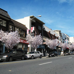 Help Us Plant a Cherry Tree in Japantown!