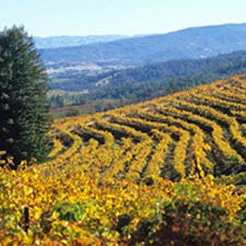 LIBATIONS: 6 Bottles of Heitz Trailside Vineyard Cabernet Sauvignon